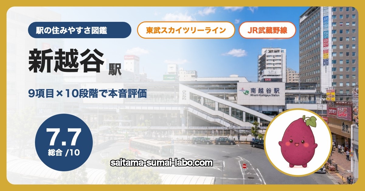 新越谷駅（埼玉県）の街並み