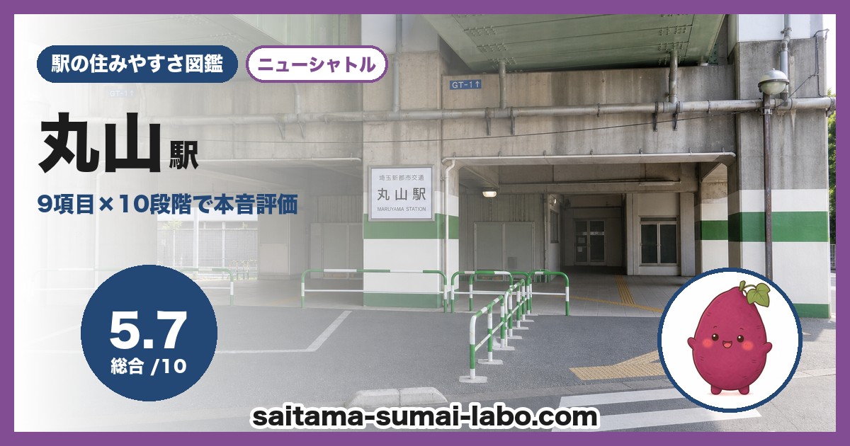 丸山駅（埼玉県）の街並み
