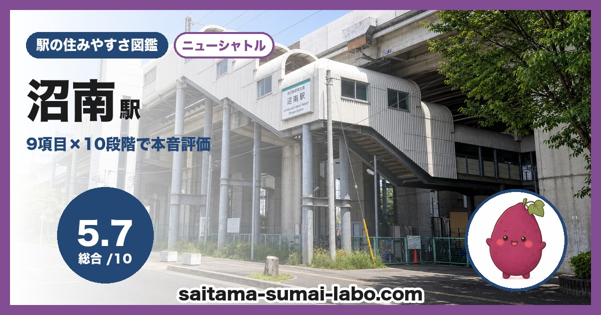 沼南駅(埼玉県)の街並み